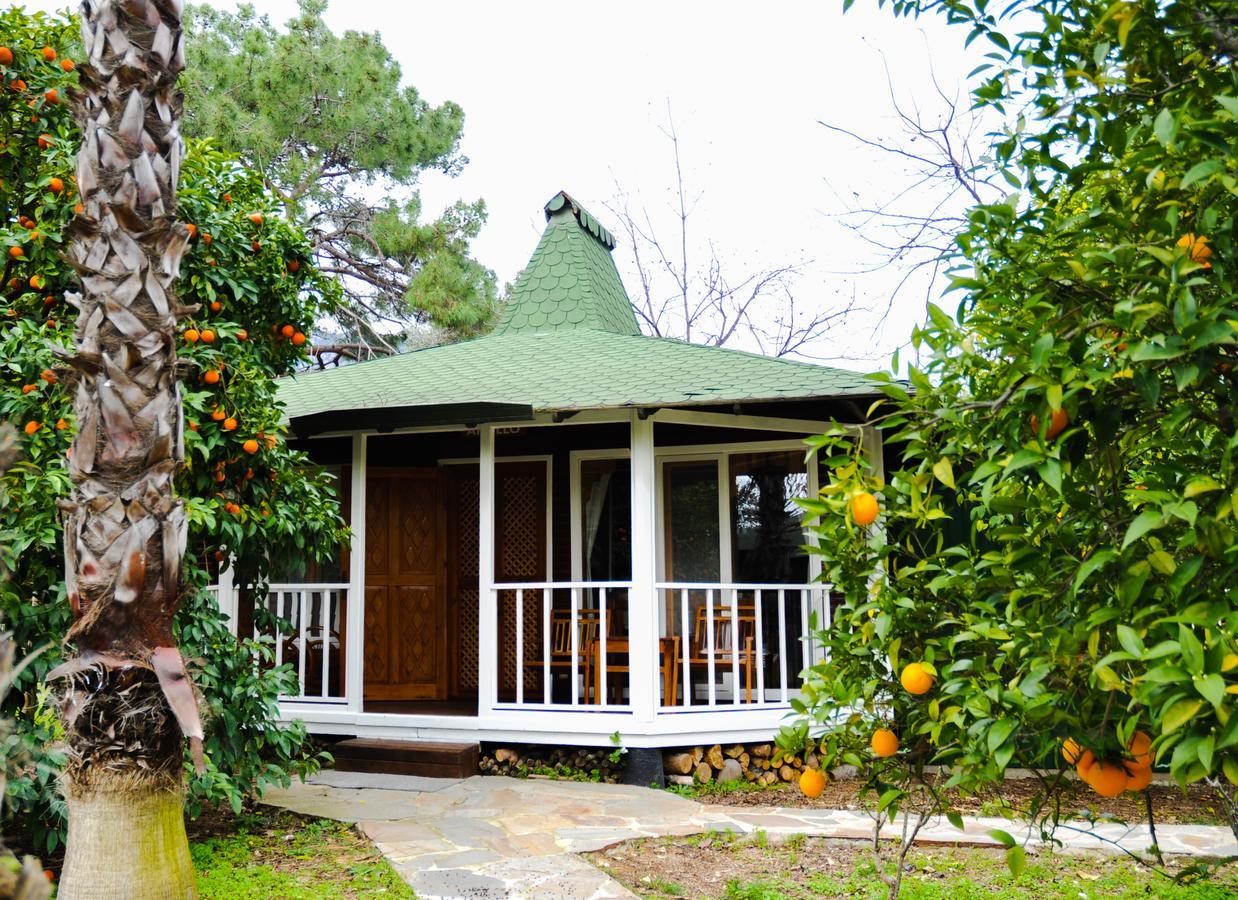 Arcadia Hotel Çıralı Exteriör bild